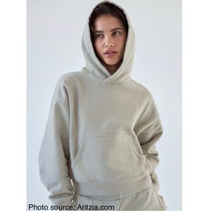 Aritzia TNA Cozy Fleece Boyfriend Shrunken Hoodie in GD Dusky Green Size XXS